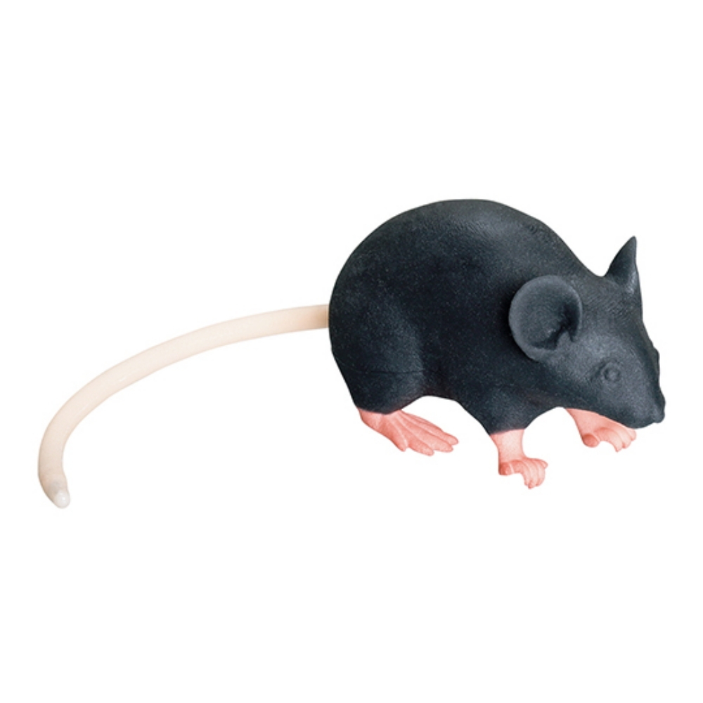 模拟小鼠 动物模拟器 MiMicKy®