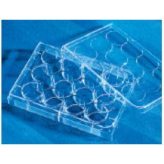 Costar® 12孔细胞培养板