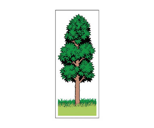 乔西尔比数树PVC贴纸1000×400