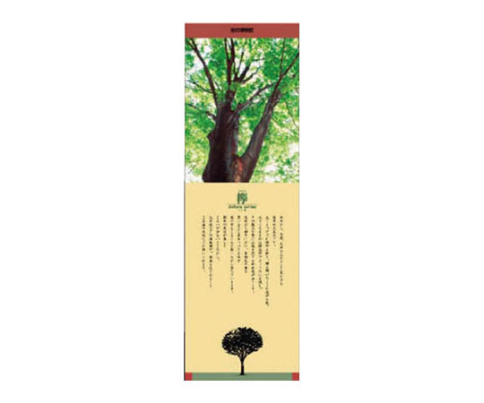 贴纸画廊榉树PVC贴纸1000×320