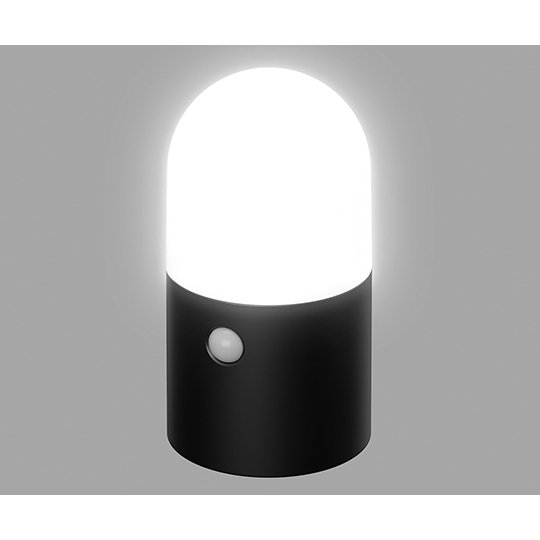 电池供电 LED 花园感应灯 圆形 2 件套 黑色