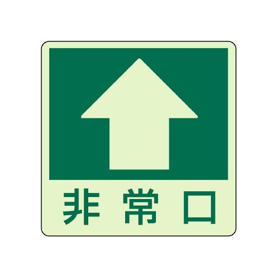 地面指示标志↑紧急出口(上箭头)