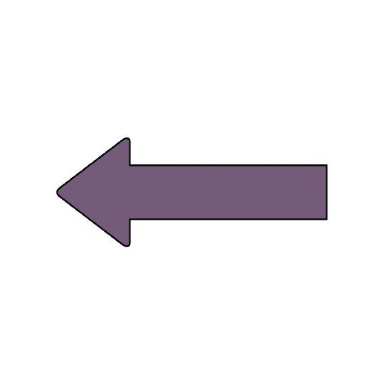 管道识别方向标示贴纸方向标示灰紫(大)
