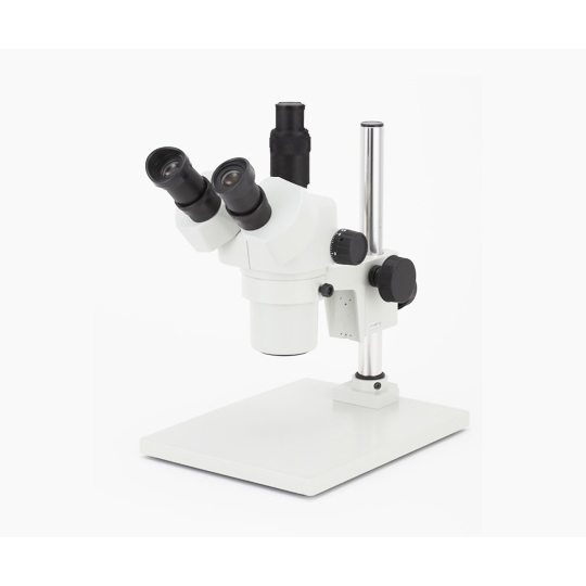 三目体视显微镜