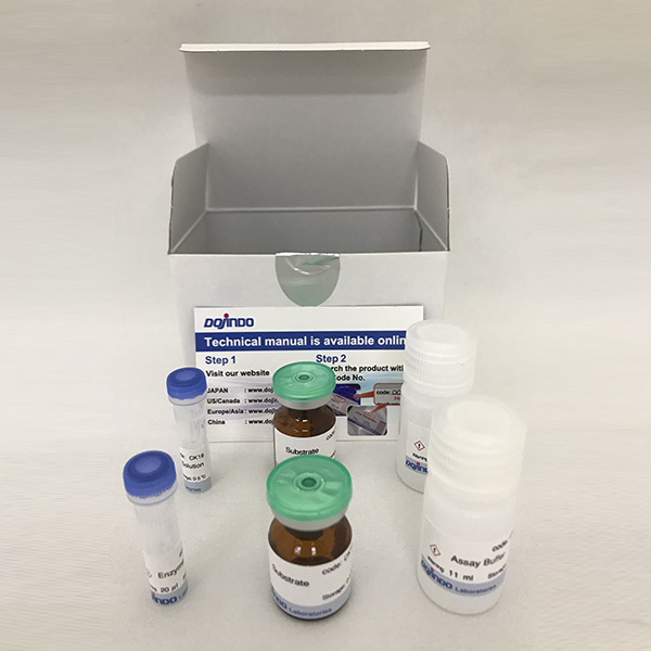 CCK-L细胞增殖/毒性ATP检测试剂盒