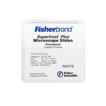 Superfrost Plus & Colorfrost Plus™ 防脱玻片