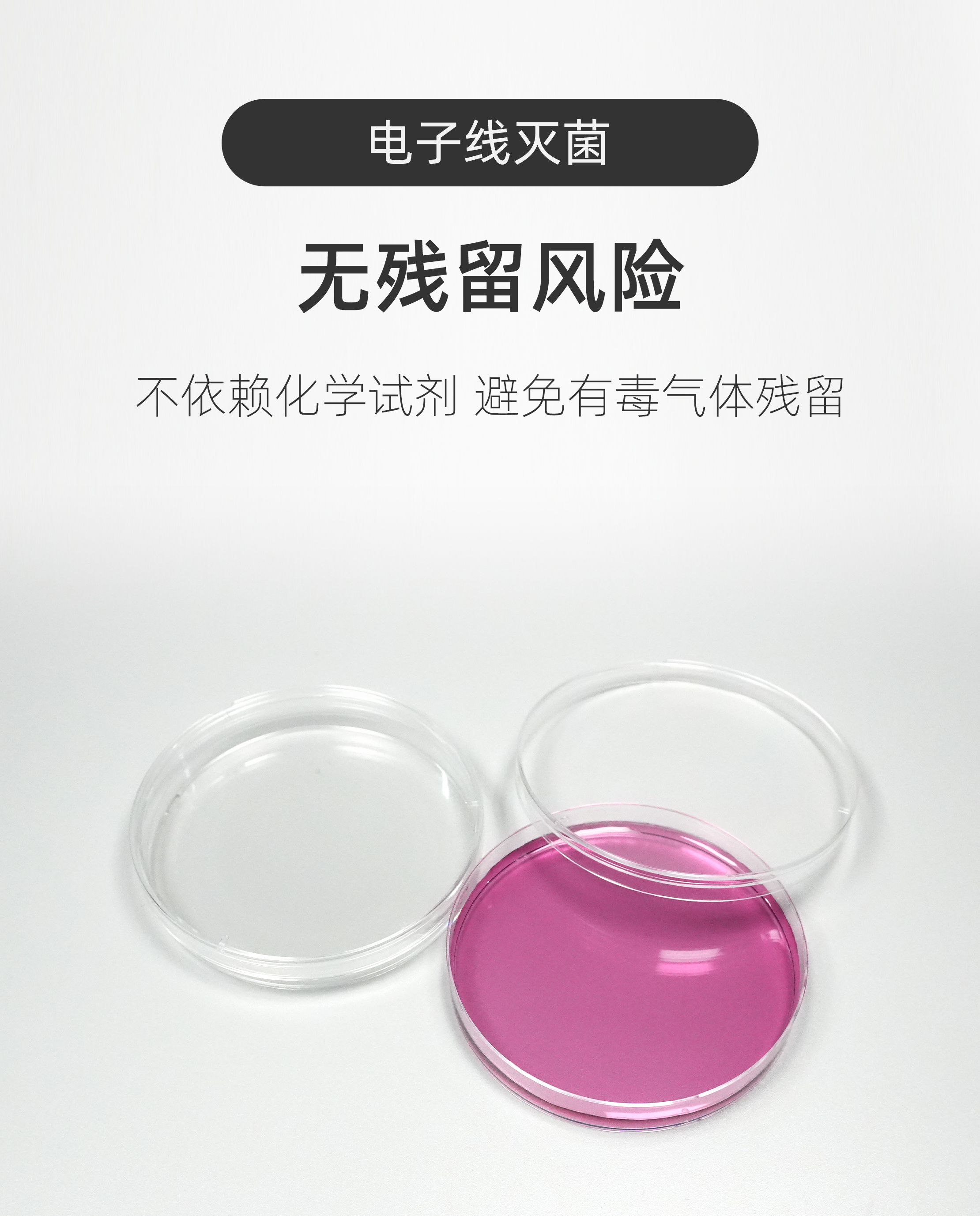 一次性培养皿