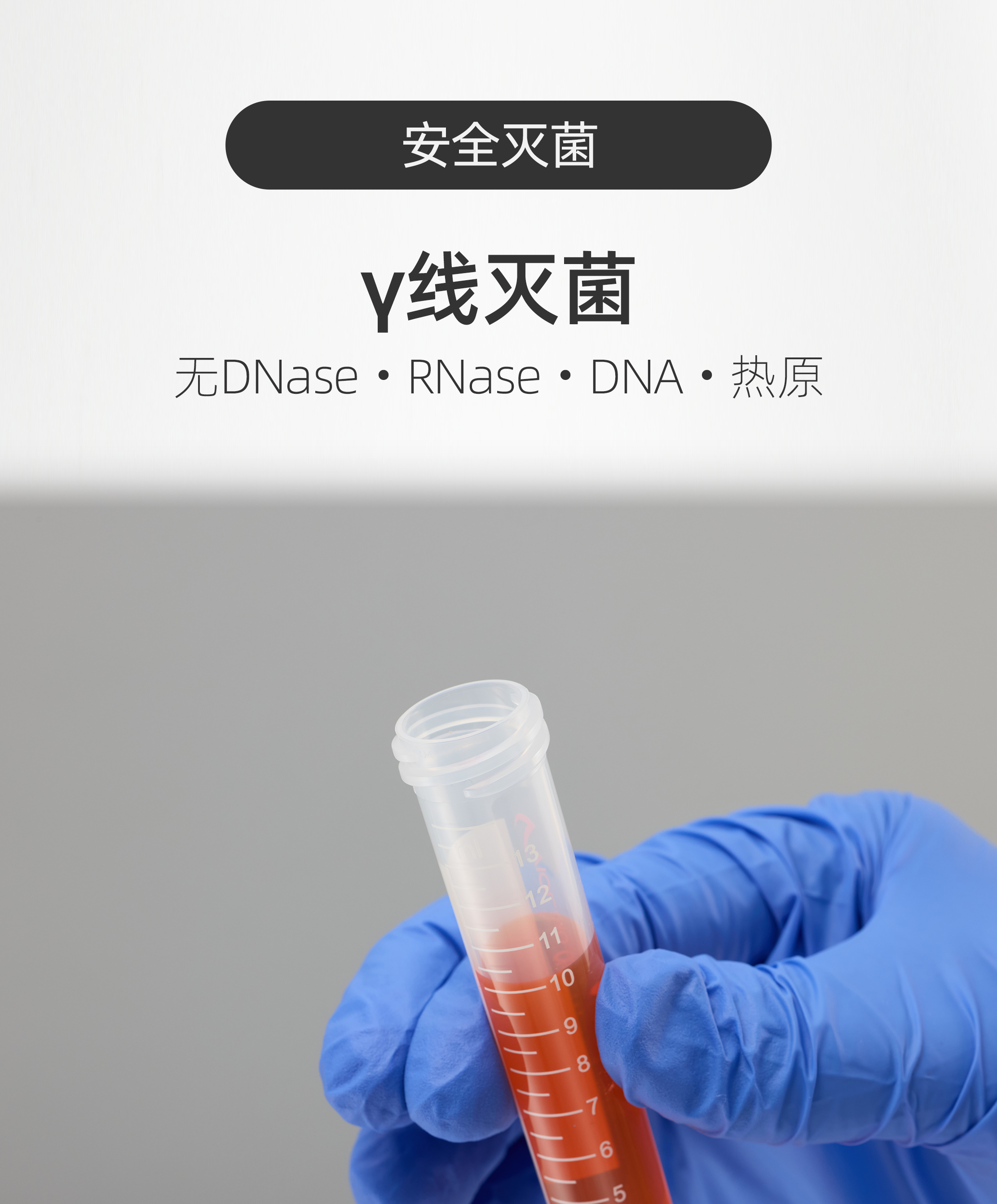 VIOLAMO离心管α