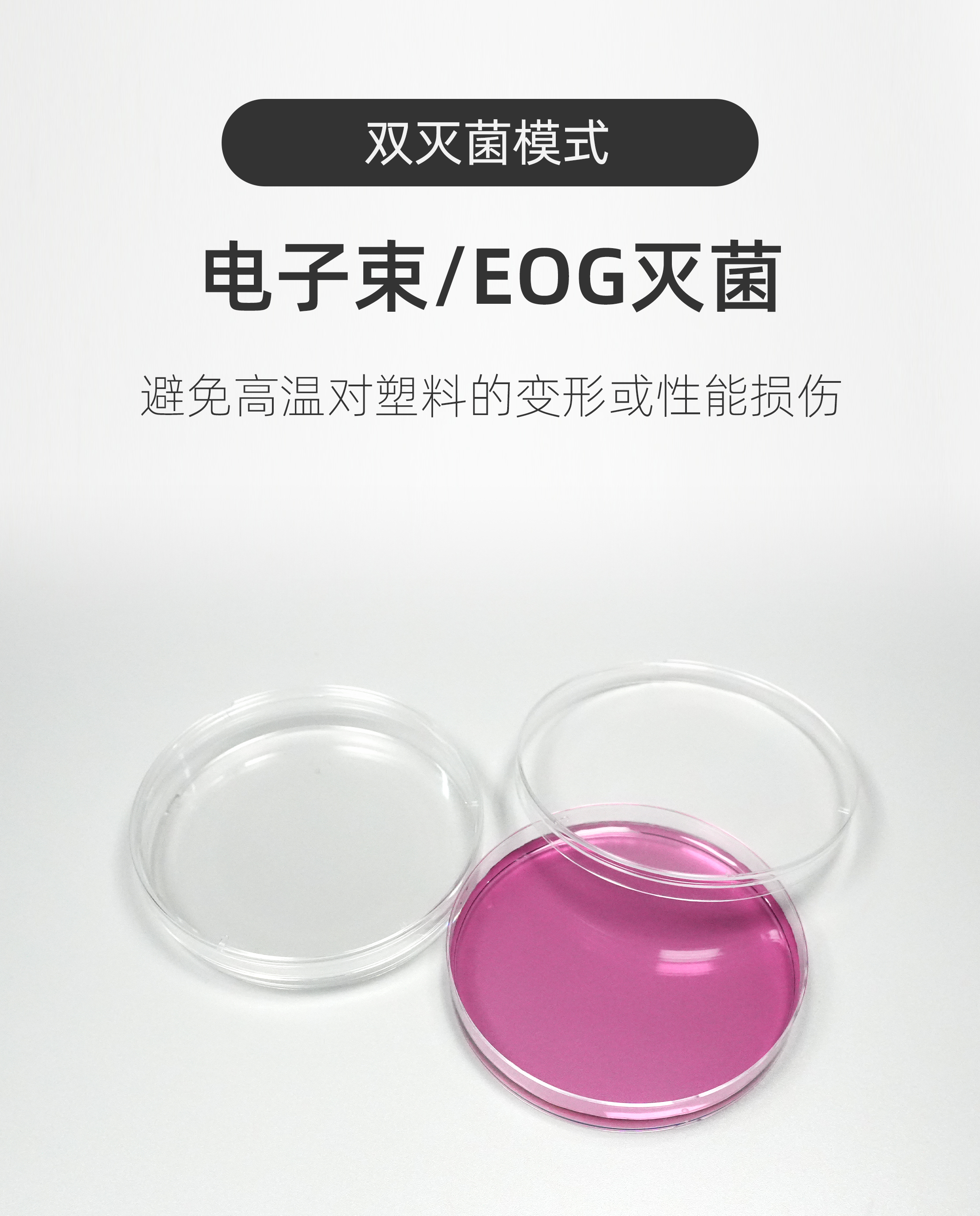 一次性培养皿