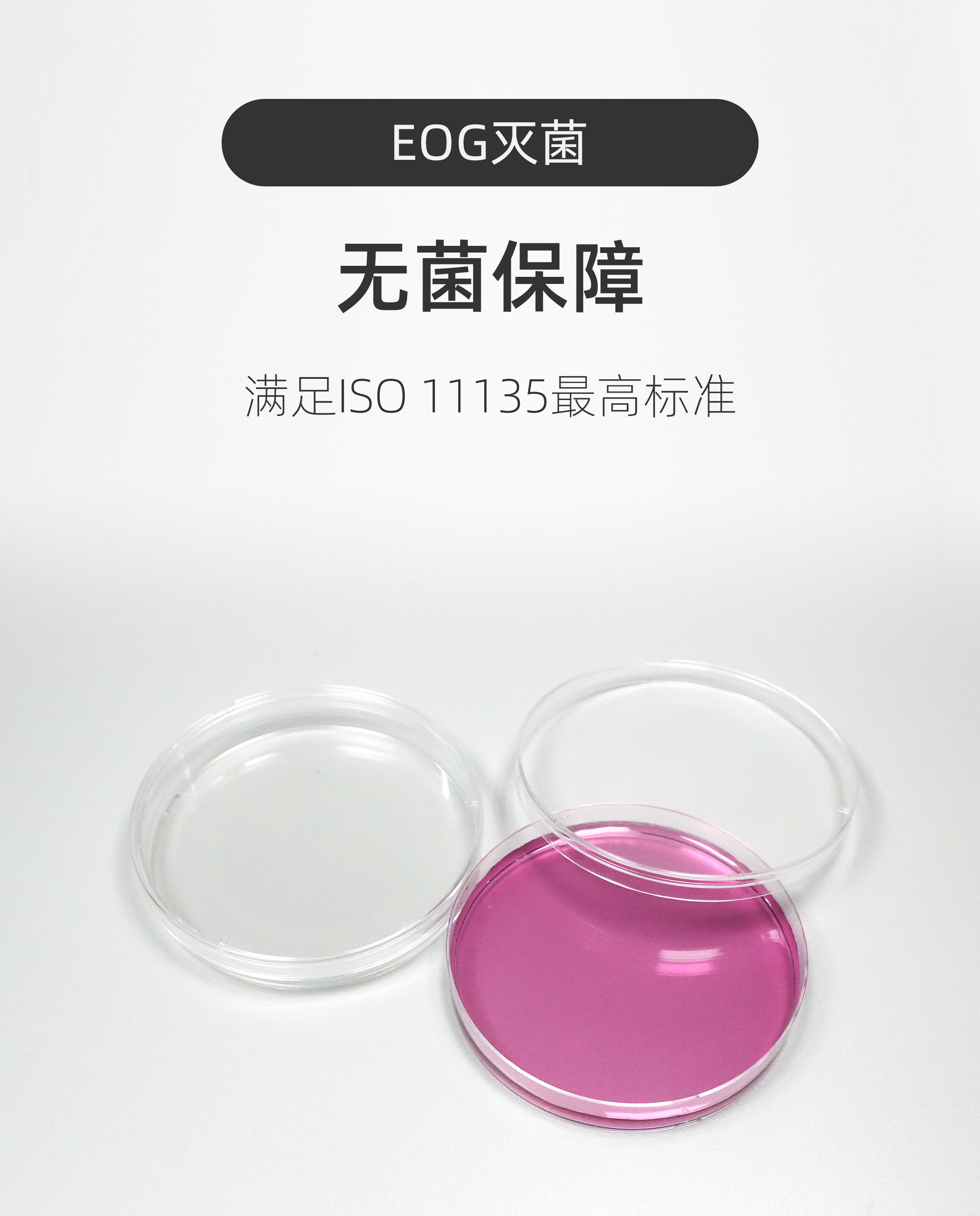 经济型一次性培养皿